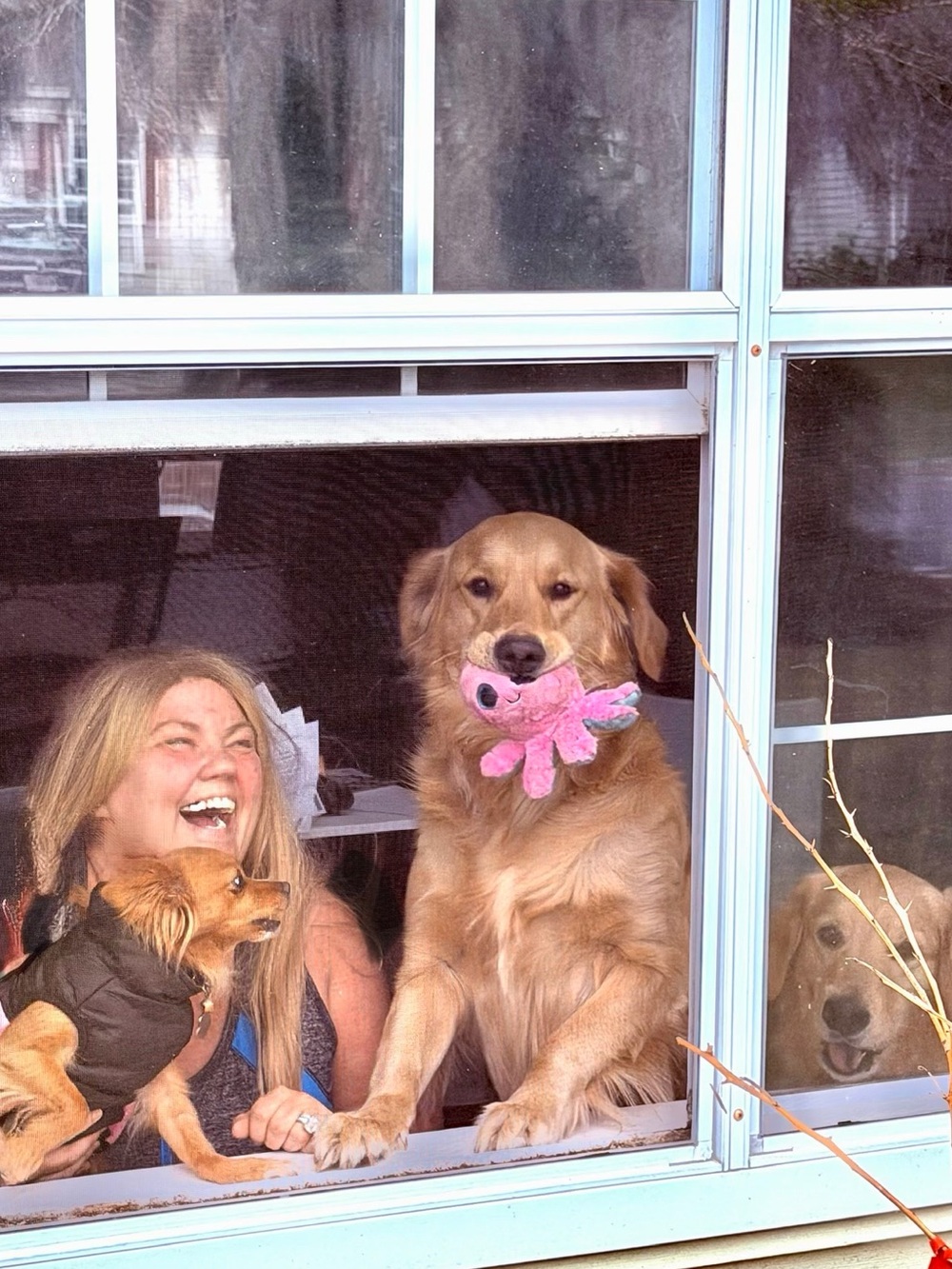 10am est Weekday Shenanigans w/ Amy & Lesare 15 sec Share Show STAY π 2B π Yβall - Picture 7 of 16